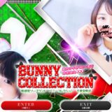 バニーコレクション（千葉） はNS/NN可能？爆サイ口コミをまとめ