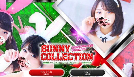 バニーコレクション（千葉） はNS/NN可能？爆サイ口コミをまとめ