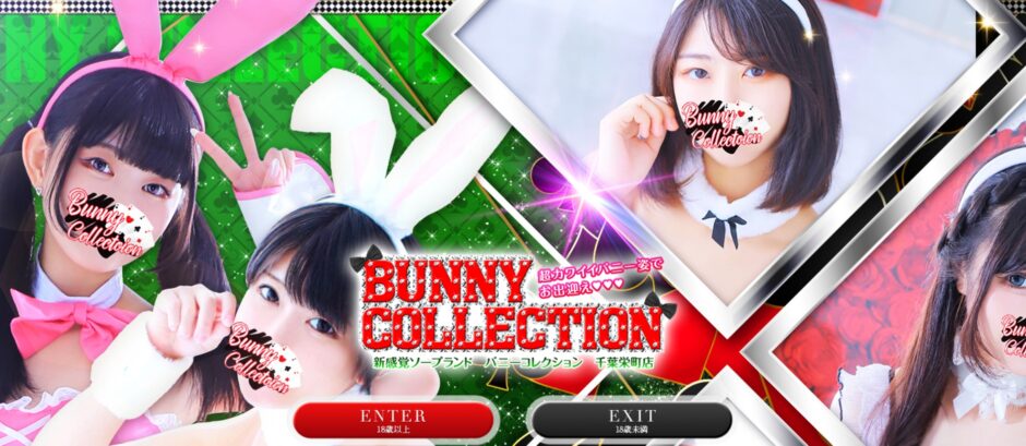 バニーコレクション（千葉） はNS/NN可能？爆サイ口コミをまとめ