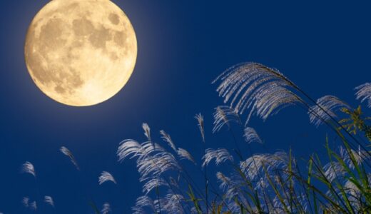 吉原「夕月」口コミ徹底解説｜NSの実態とリアル体験レビュー【初心者向け】