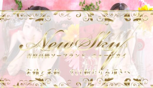 吉原ソープ「スカイ」はNS/NN可能？料金・口コミ・体験談をわかりやすく解説