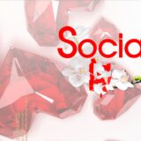 吉原ソープ「ソシアル蘭」はNS/NN可能？料金・口コミ・体験談をわかりやすく解説