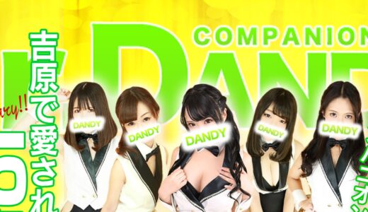 吉原ミスターダンディパート2のNS事情と口コミ徹底解説｜初心者でも安心して遊べる？