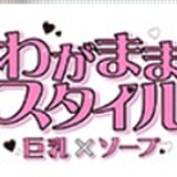 吉原「わがままスタイル」はNS/NN対応？掲示板口コミと体験談で初心者向けに徹底解説！